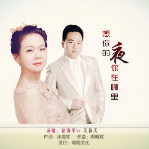 想你的夜你在哪里 (对唱版)
