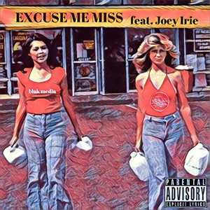 Excuse Me Miss (feat. Joey Irie) [Explicit]