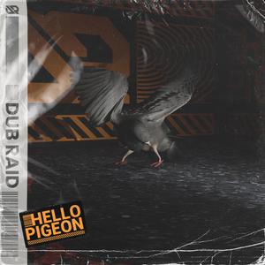 Hello Pigeon