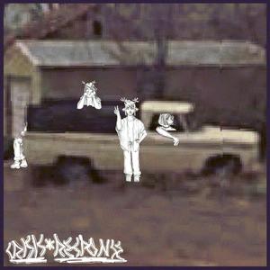 Wear flowers in your hair (Explicit)