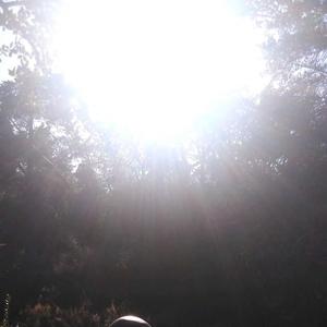 princess jasmine (Explicit)