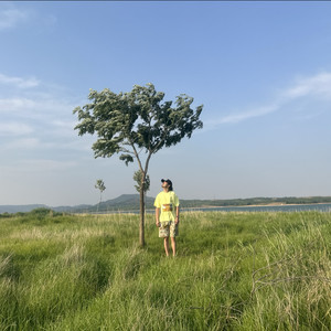 时间里的漂泊者