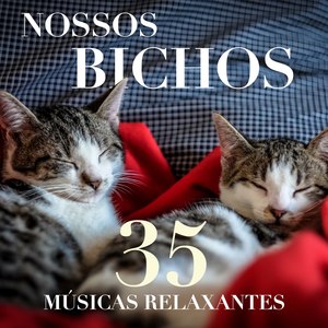 Nossos Bichos - 40 Musicas Relaxantes para Acalmar os Nossos Cães e Gatos