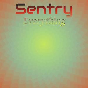Sentry Everything