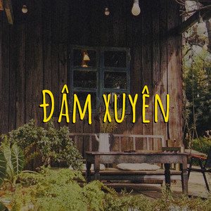 Đâm Xuyên