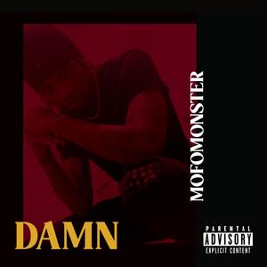 Damn (Explicit)