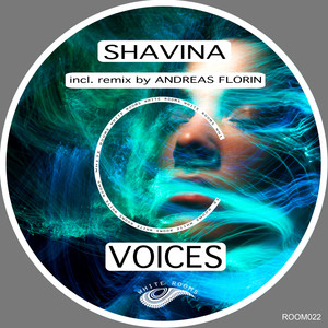 Voices (Andreas Florin Remix)