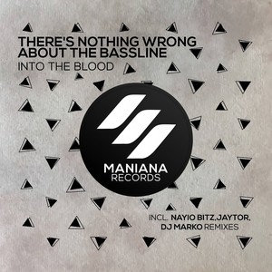 There's Nothing Wrong About the Bassline (Jaytor vs. DJ Marko Retouch)