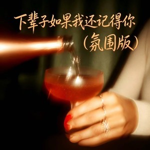 下辈子如果我还记得你 (氛围版)封面