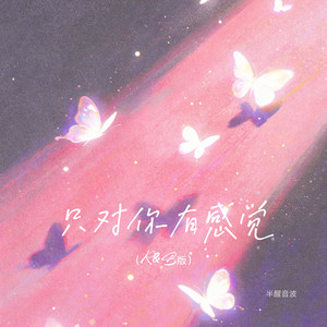 只对你有感觉 (R&B)