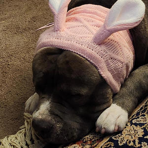 Almost Mid-Summer (feat. Frimi Beats) (Explicit)