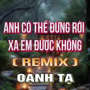 Anh Có Thể Đừng Rời Xa Em Được Không (HM Remix)