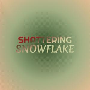 Shattering Snowflake