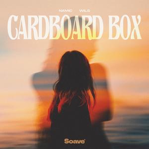 Cardboard Box
