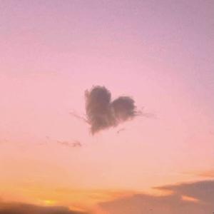 LOVE'S A TRIP