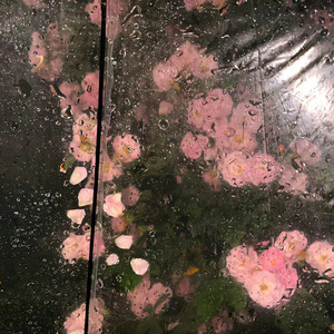 阴天 (Jazz氛围版)