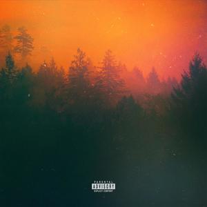 N.U.N (Need U Now) (Explicit)