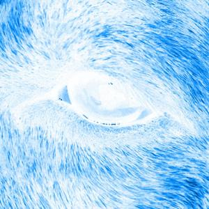 controllin (feat. latobby & mars2001) (Explicit)