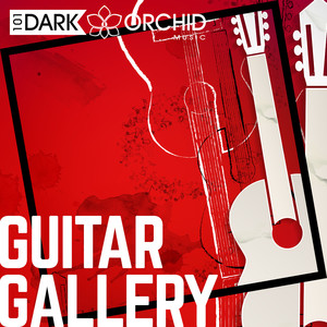 Guitar Gallery