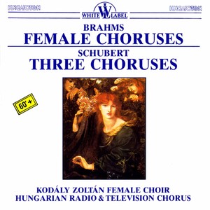 Gott im Ungewitter, Op. 112, No. 1, D. 985 - Gott im Ungewitter, Op. 112, No. 1, D. 985