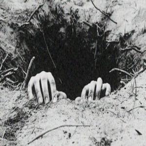 BACKSEAT MUSIC (Explicit)