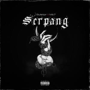 Serpang (feat. Mb7) (Explicit)