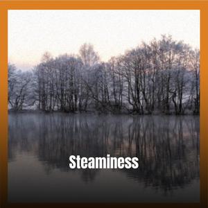 Steaminess