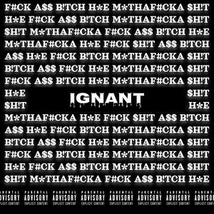 Ignant (feat. Chech AF) (Explicit)