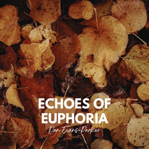 Echoes of Euphoria