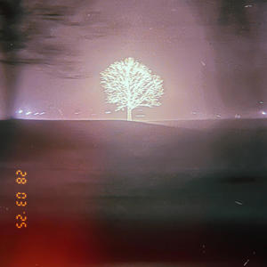 Another Run (Explicit)