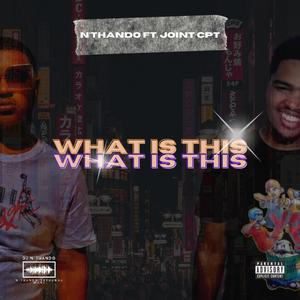 What is This ! (feat. Joint CPT)