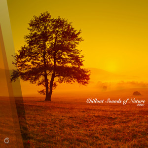 A Story of Stories (Original Mix)
