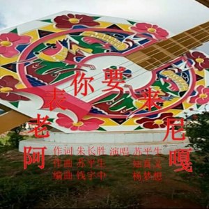 阿老表你要来呢嘎 (苏平生 知真义 杨梦想 对唱版)