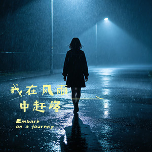 我在风雨中赶路 (DJ版)