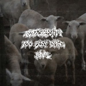 out of options (Live)