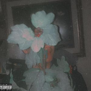 Don't Believe (Explicit)