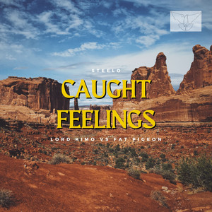 Caught Feelings (V.I.P Mix)