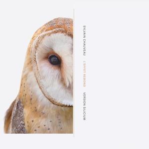 CD (feat. Romke Kleefstra)