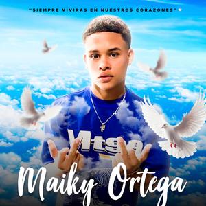 RIP MAIKY (feat. Anyelo Brow, El Delefe, Yovng AP, Pinpio HD, Jay Tana & Frailin 06)