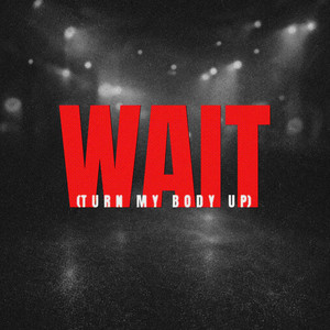 WAIT (TURN MY BODY UP)