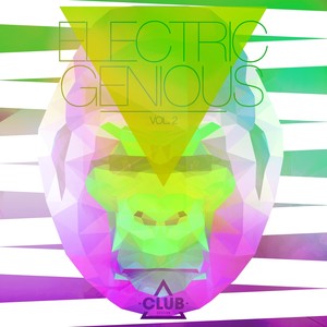 Electric Genious,Vol. 2