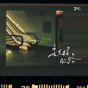 未选择的路 (选错就选错)-ZQS