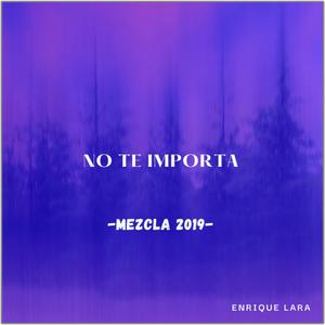 No Te Importa (Demo- Es Un Proceso)