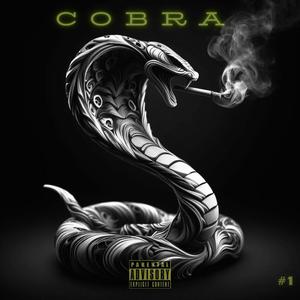 Cobra 1 (Explicit)