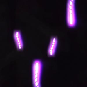 the mrs. martin flip (feat. shelby obzut & troll for trout)