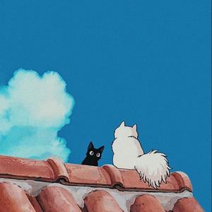 cant keep doing this