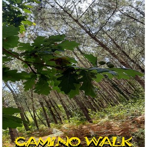 Camino Walk