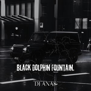 Black Dolphin Fountain