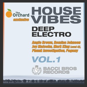 House Vibes - Deep Electro VOL.2