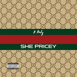 She Pricey (Explicit)